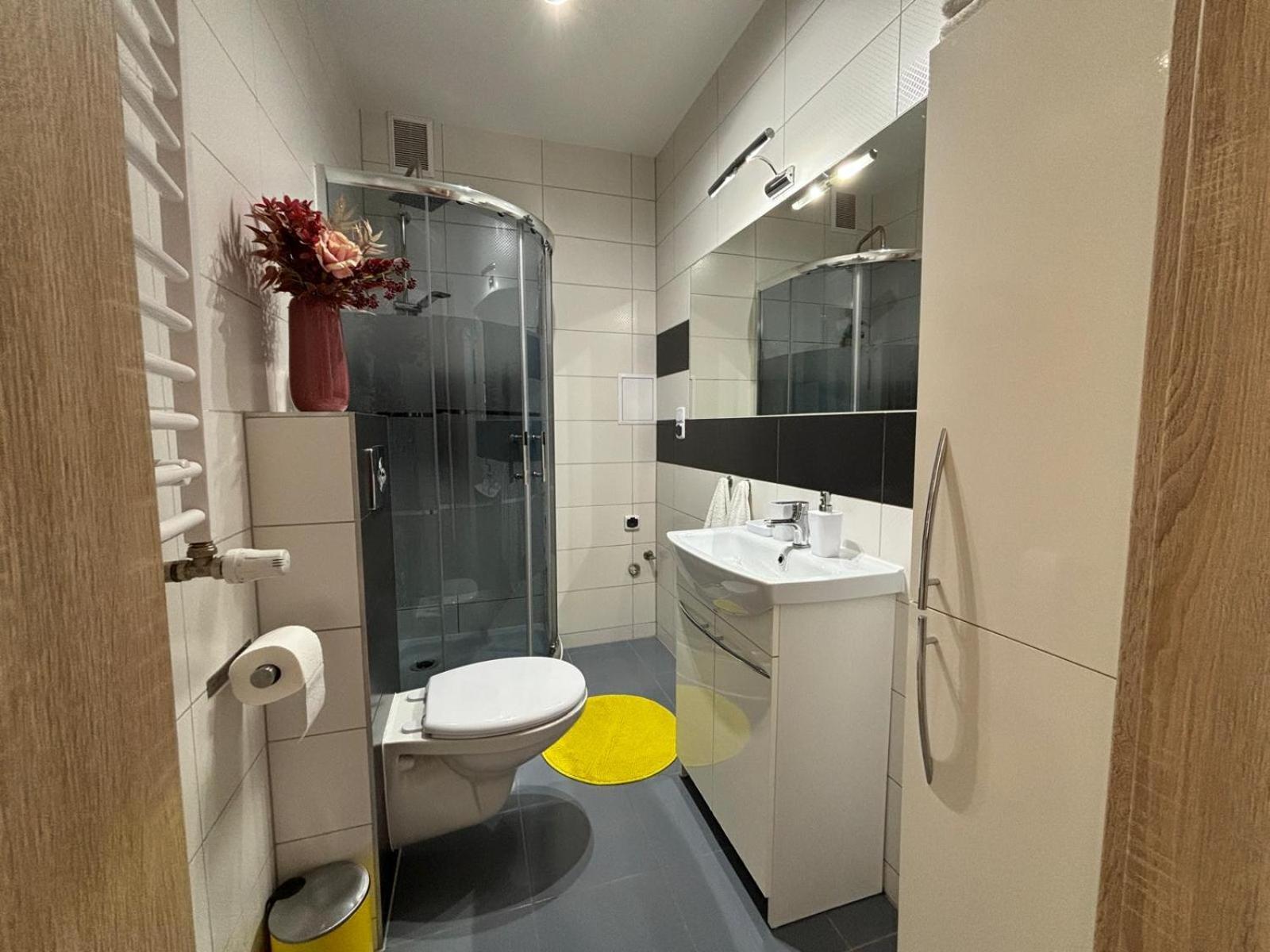 Apartament Wygodny Apartment *